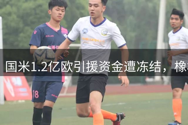 国米1.2亿欧引援资金遭冻结，橡树资本被曝只盯利润不顾发展