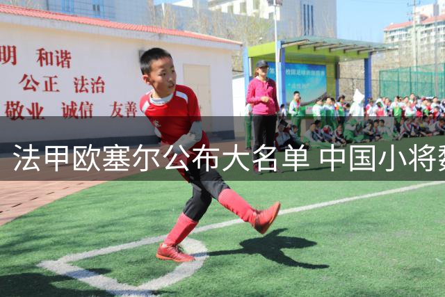法甲欧塞尔公布大名单 中国小将魏祥鑫入选