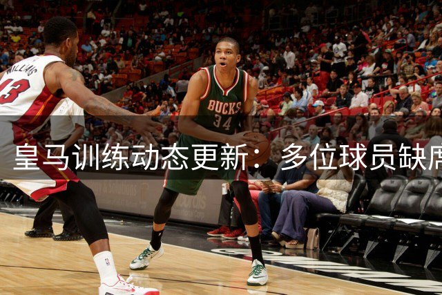 皇马训练动态更新：多位球员缺席合练