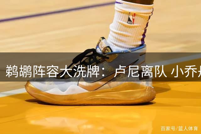 鹈鹕阵容大洗牌：卢尼离队 小乔丹留队 新星巴夫金加盟